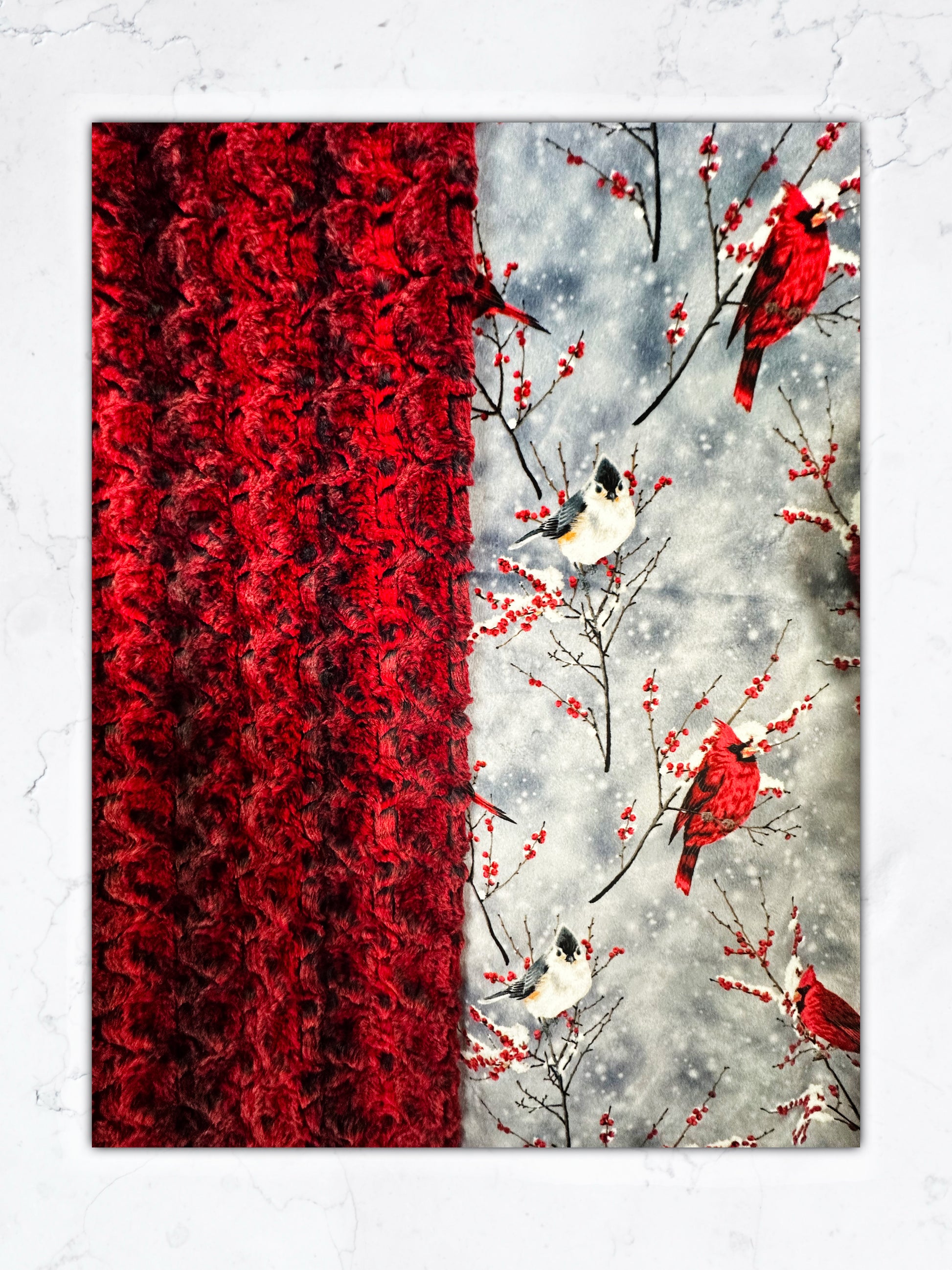 Cardinal Sparrow on Paloma Rocker Adult Large Blanket - Luxurious Comfort - 55x75