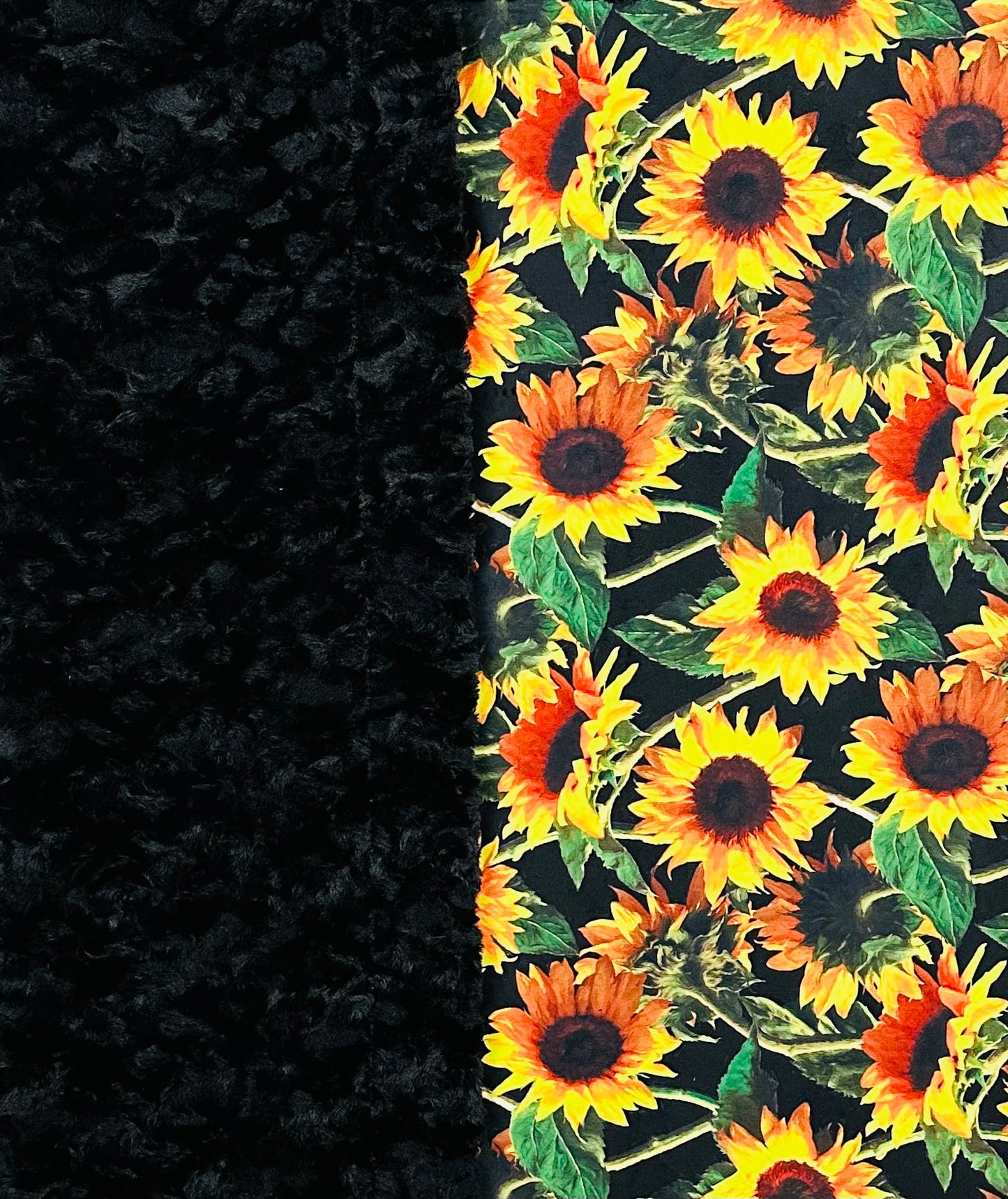 Sunflowers on Black Tuscany Large Blanket 55x77